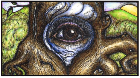Tree Trunk w. an Eye