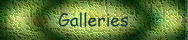 Image Gallery 2 - Photography/35mm Film